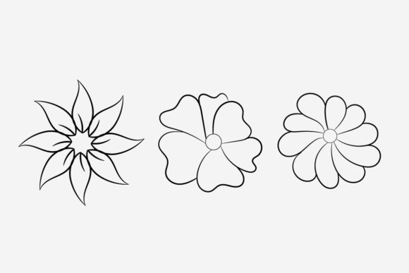 A Designer Reviews Floral Line Art for Branding & Print